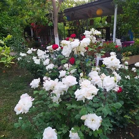 Sakli Bahce Pensiyon & Homestay szállás
