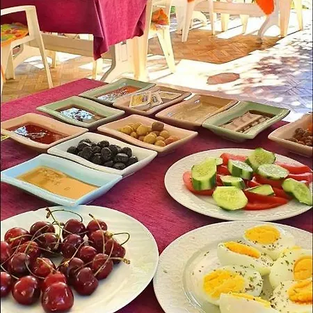 Sakli Bahce Pensiyon & Homestay szállás Çıralı