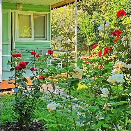 Sakli Bahce Pensiyon & Homestay szállás *