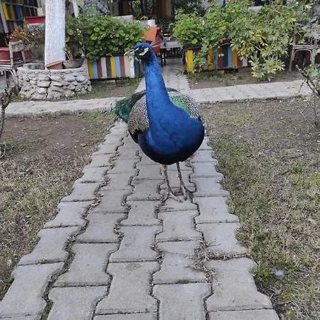 Sakli Bahce Pensiyon &
