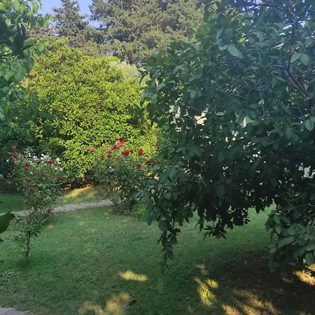 Homestay szállás Sakli Bahce Pensiyon & Çıralı