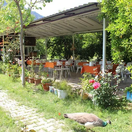 Accommodatie bij particulieren Sakli Bahce Pensiyon & Çıralı