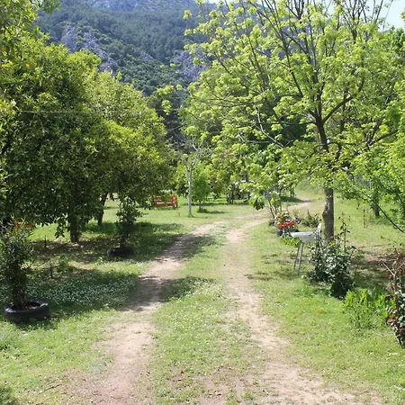 Sakli Bahce Pensiyon & * Çıralı