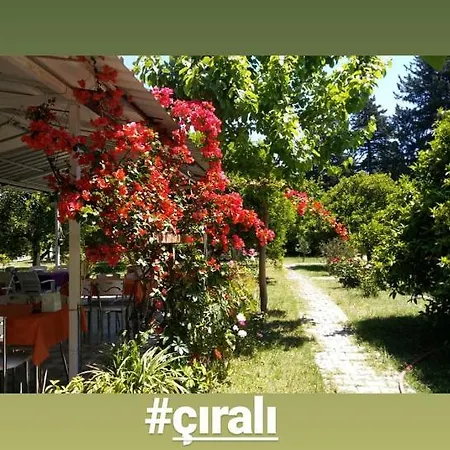 Sakli Bahce Pensiyon & Homestay szállás