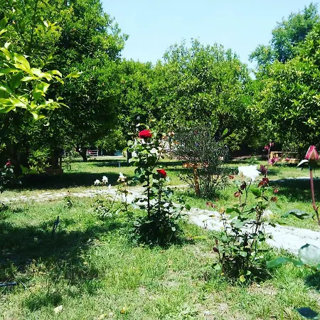 Sakli Bahce Pensiyon & Homestay szállás Çıralı