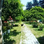 Quarto em Acomodações Particulares Saklı Bahçe Pensiyon&camping *