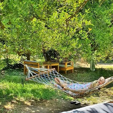 Habitación en casa particular Sakli Bahce Çıralı