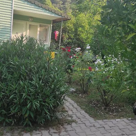 Sakli Bahce Alloggio in famiglia Çıralı