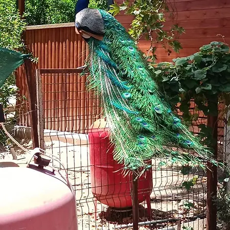 Habitación en casa particular Sakli Bahce *