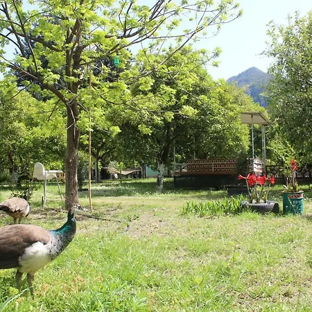 Habitación en casa particular Sakli Bahce Çıralı