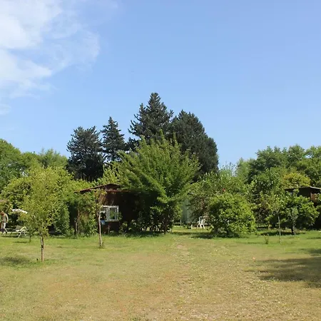 Sakli Bahce Çıralı