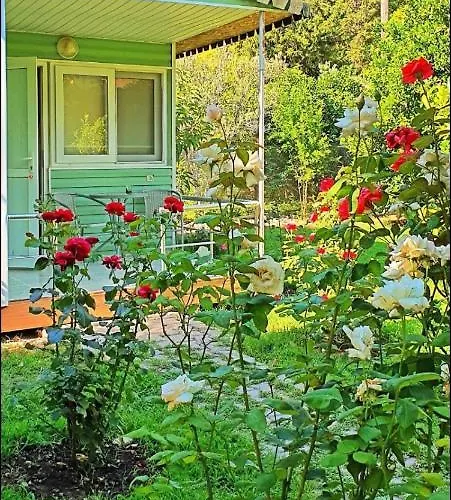Saklı Bahçe Lıkya Yanartaş 2 Quarto em Acomodações Particulares *