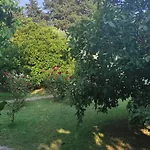 Gazde/Camere de închiriat Sakli Bahce Pensiyon & Çıralı