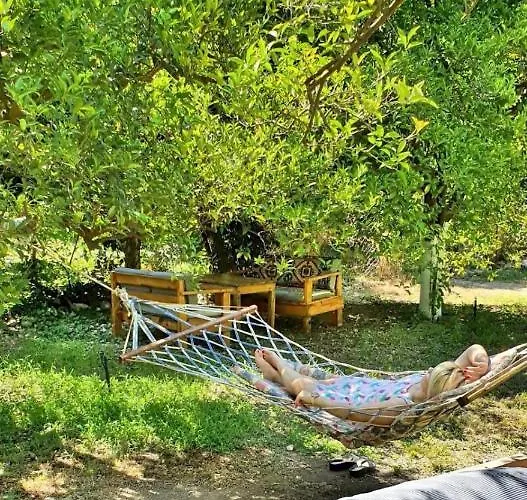 Privat bolig Sakli Bahce Pansiyon Likya Yanartas 2 Çıralı