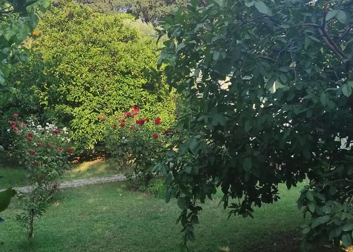 Privat bolig Sakli Bahce Pansiyon Likya Yanartas 2 Çıralı